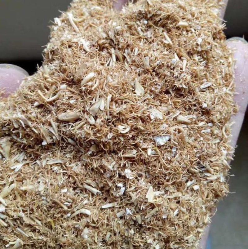 大麦麦芽根，蛋白27左右保26