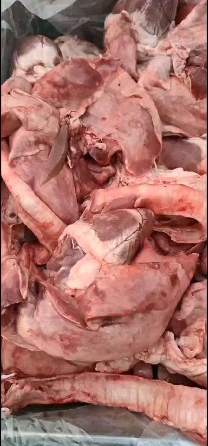 羔羊羊心肺，扒皮羊，纯干货，一手货源，大量批发