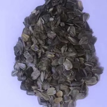 串叶松香草多年生牧草产量高，叶量丰富，耐旱性好