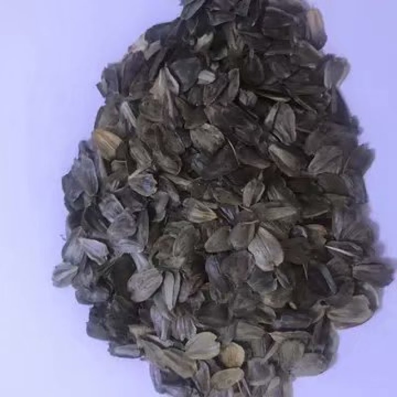 串叶松香草多年生牧草产量高，叶量丰富，耐旱性好