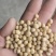 黄大豆安徽大豆进口豆质量好价格低豆腐专用豆