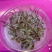 冬牧70种子到货,耐寒性强,生长快,利用率高