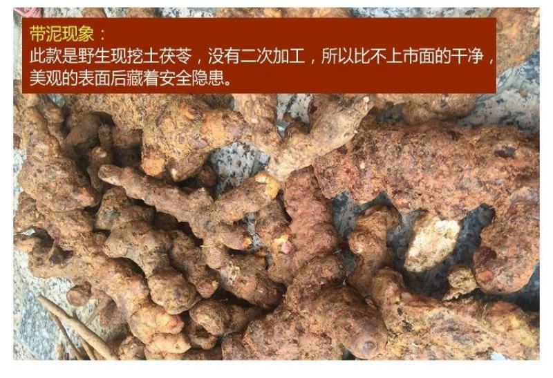 土茯苓新鲜现挖湖南特产高山野生土茯苓中药材原料小大块分级