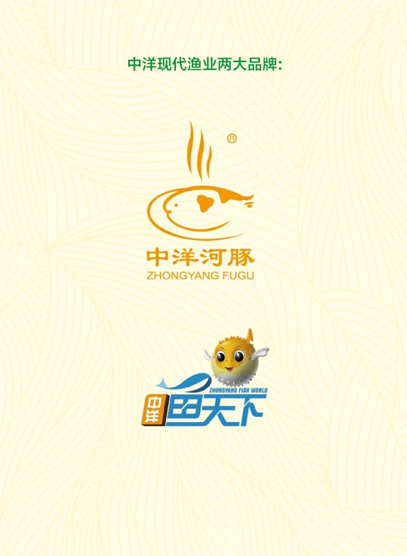 苏州鲥鱼直供承接酒店餐饮会所电商私人需求