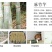 麻竹笋大苗麻竹苗竹苗基地直供数量有限