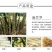 麻竹笋大苗麻竹苗竹苗基地直供数量有限