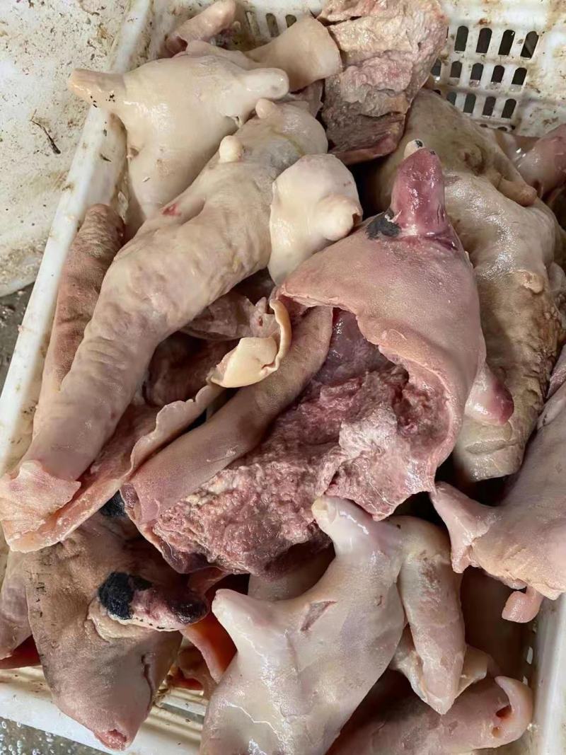 熟牛奶皮，牛杂汤专用，纯干货每天生产