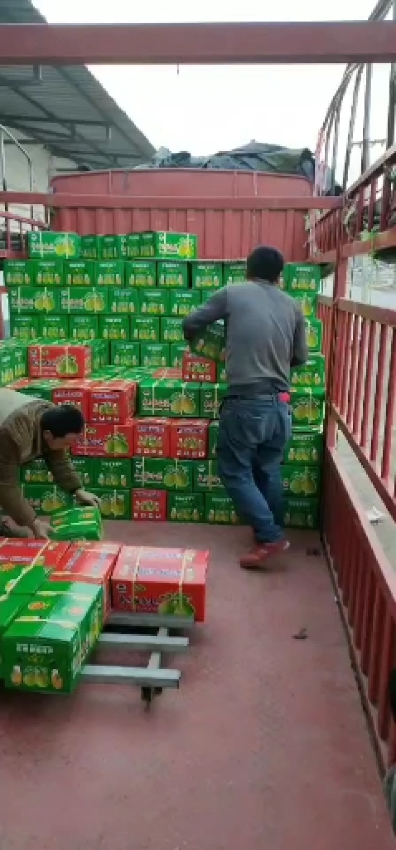 陕西精品红香酥梨，产地直发，支持电商对接，个头大，质量好