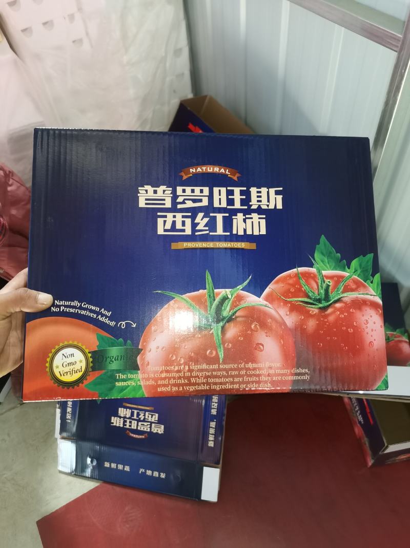 普罗旺斯西红柿支持一件代发良心商家欢迎下单