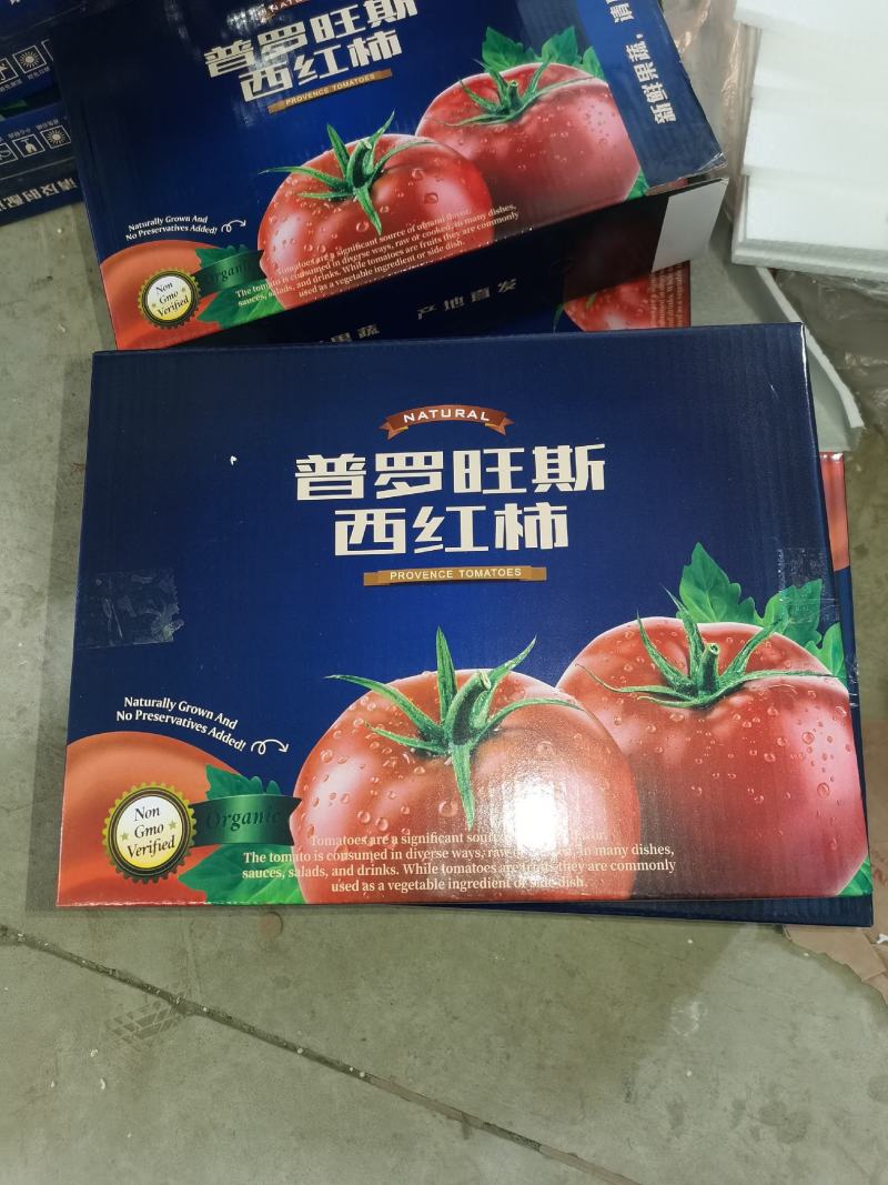 普罗旺斯西红柿支持一件代发良心商家欢迎下单