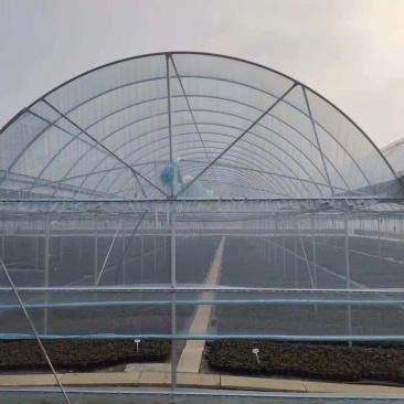 专业生产整套温室大棚养殖大棚全国发货包建