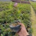 雪花木园林绿化工程苗基地直供