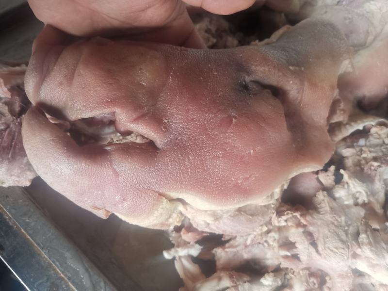 半成品猪头肉能用的细聊