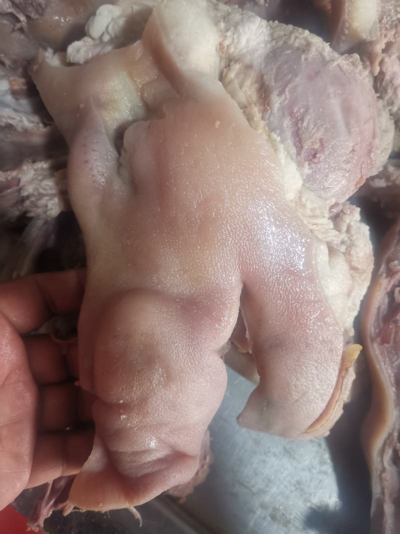 半成品猪头肉能用的细聊
