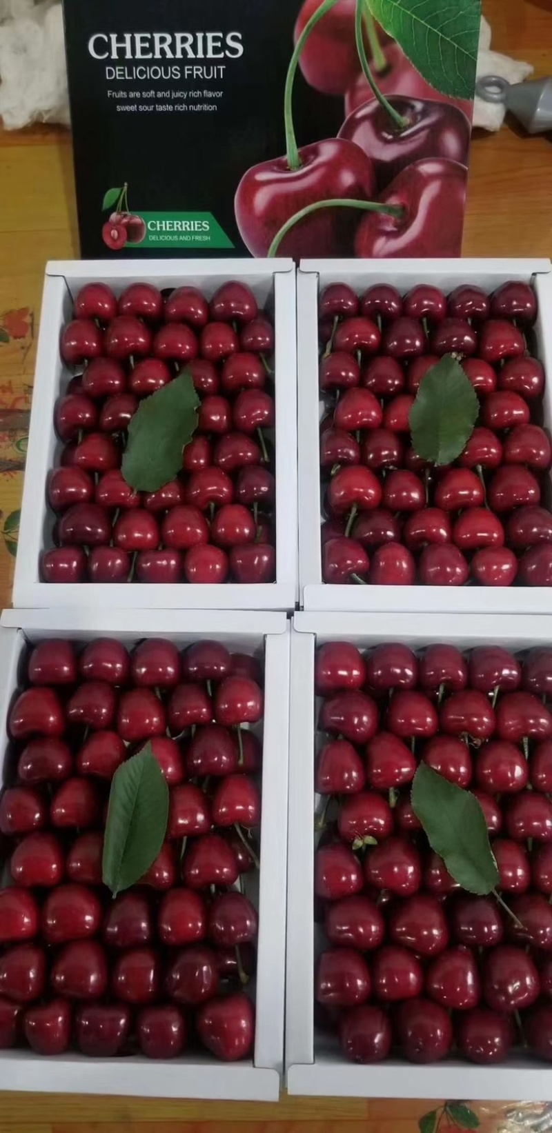 红灯美早大量上市货源充足保质保量支持全国发货
