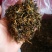 广东清远英德高山环保英红九号红茶