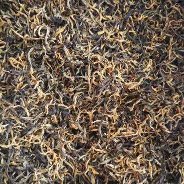 广东清远英德高山环保英红九号红茶