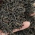 广东清远英德高山环保英红九号红茶