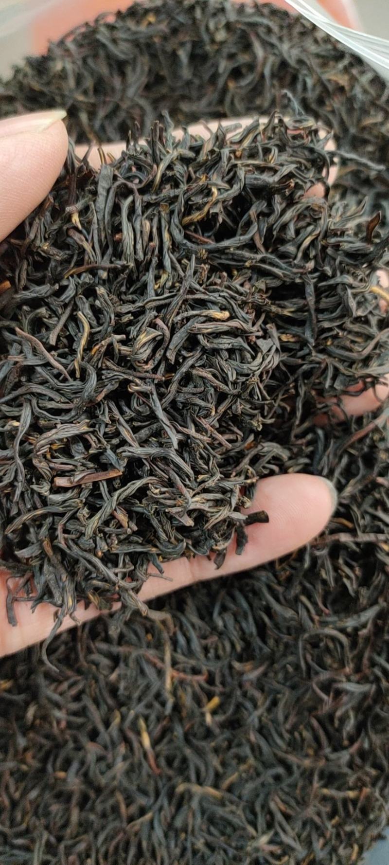 广东清远英德高山环保英红九号红茶