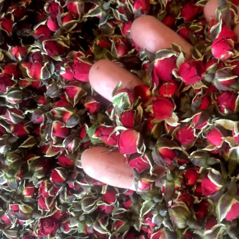 【金边玫瑰花】头茬云南金边玫瑰无硫金边玫瑰500克包邮