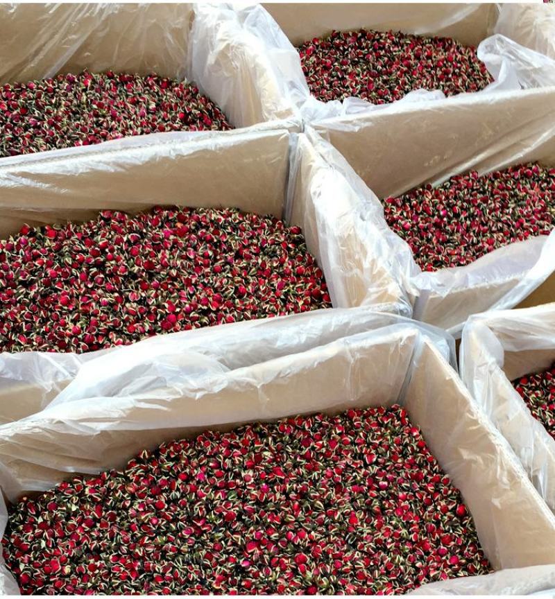 【金边玫瑰花】头茬云南金边玫瑰无硫金边玫瑰500克包邮