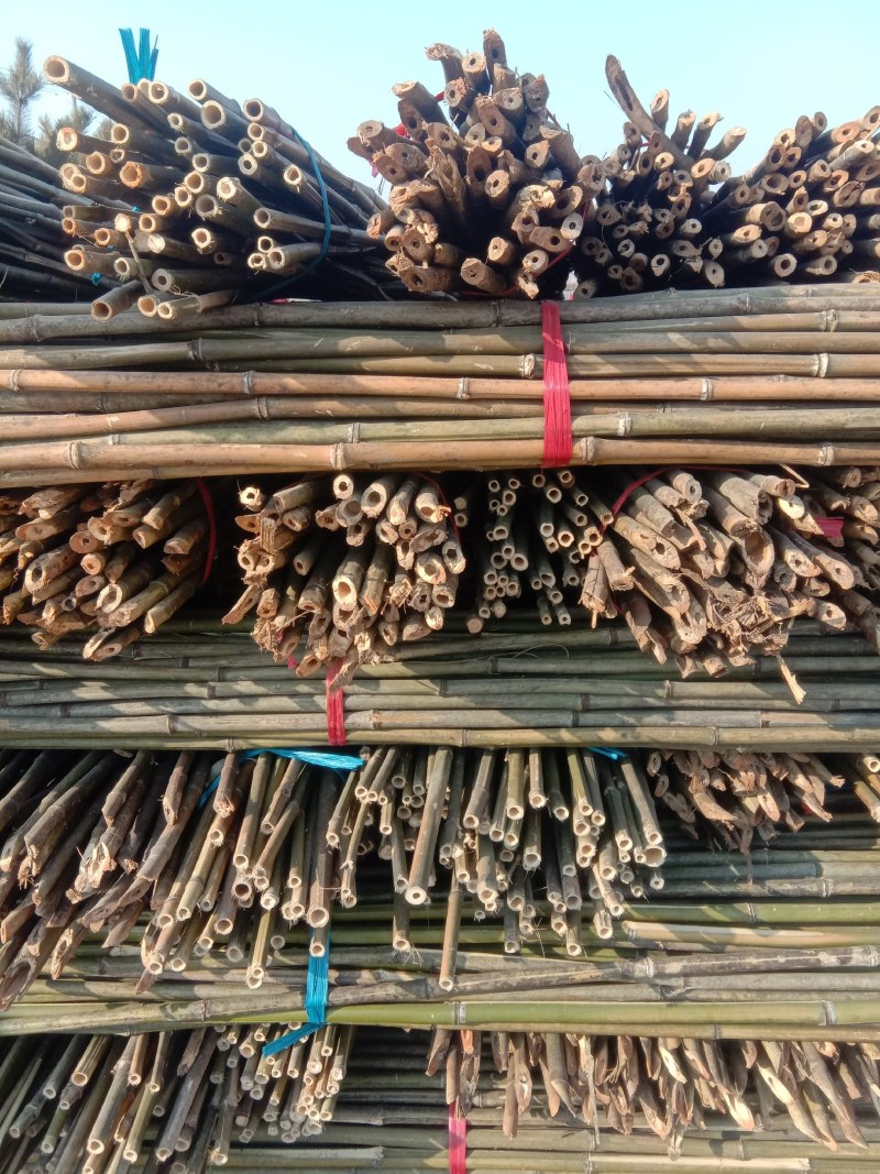 菜架竹竿，架树竹尖，价格合理，品种齐全，需要的联系…