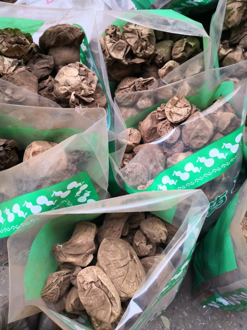马勃河北干货2斤起包邮量大从优