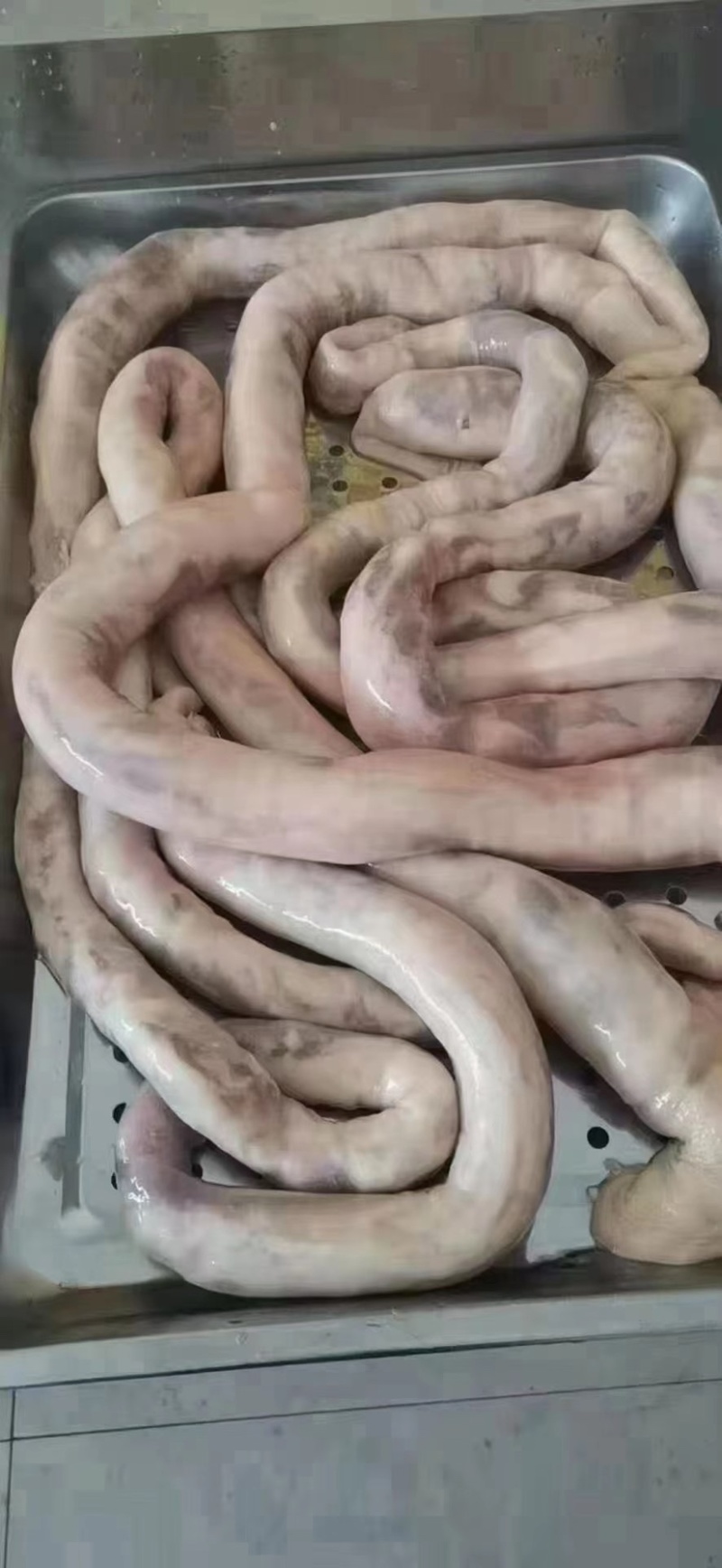 肠包肉羊肠包肉可用于熟食店餐饮卤炖烤都可以🔥
