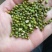 厂家大量批发优质磨面专用绿豆，小颗粒绿豆，