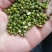 厂家大量批发优质磨面专用绿豆，小颗粒绿豆，