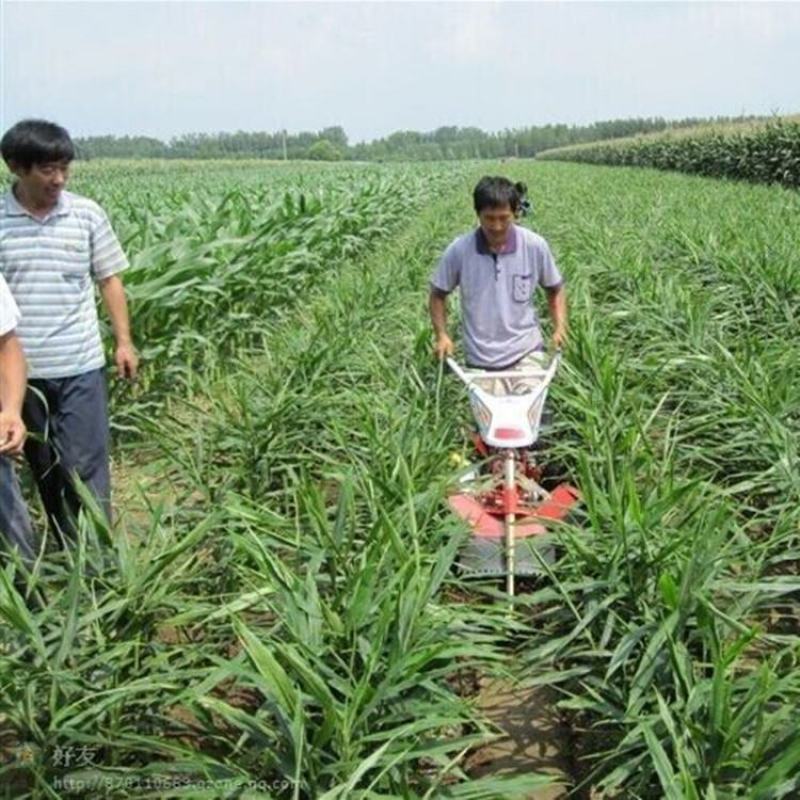 厂家直销大葱甘蔗烤烟开沟培土机大姜种植开沟压垄机起垄机