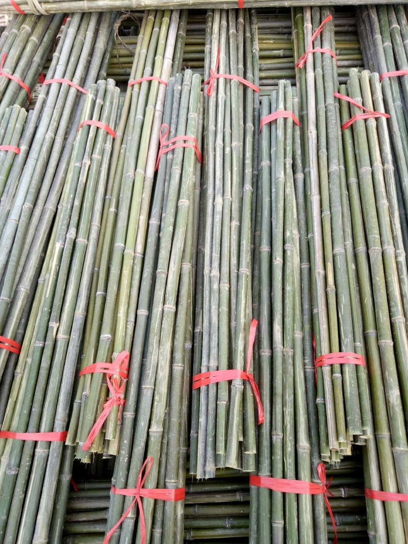 精竹竿品，菜架竹，大棚竹，旗杆竹，支树竿，竹片，质量保证
