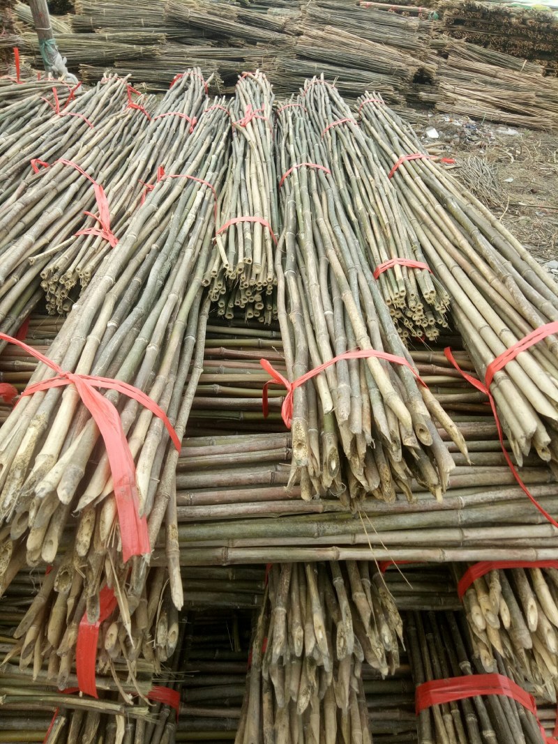 精竹竿品，菜架竹，大棚竹，旗杆竹，支树竿，竹片，质量保证
