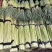 （精品）红帽蒜苔，总长70公分左右，货源充足，产地直销，