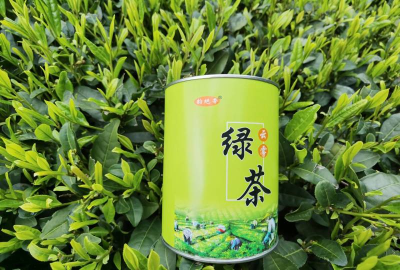 松阳香茶，一款寻常百姓喝的茶，茶如其名，香飘四溢。