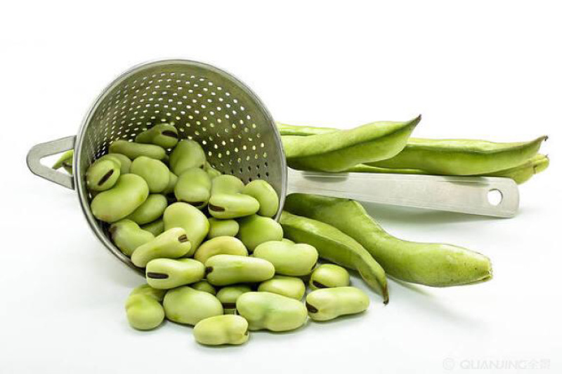 鲜蚕豆张家口崇礼蚕豆、鲜蚕豆新鲜菜豆。口感上等。闷煮炒菜