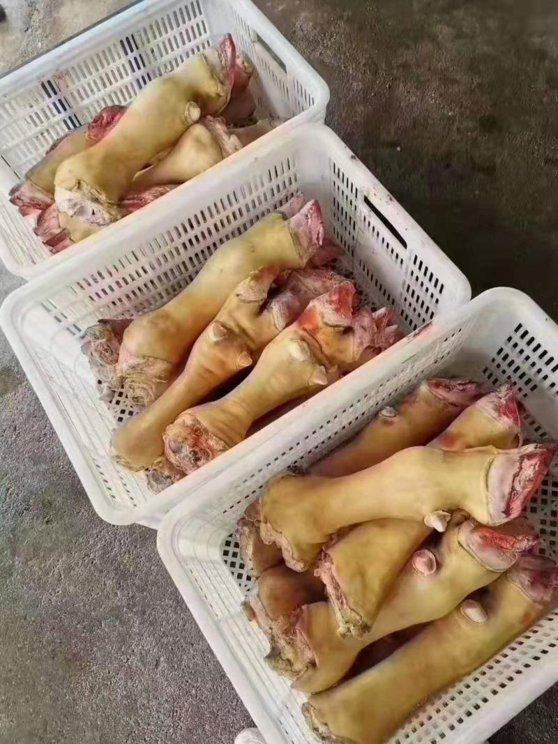 牛蹄，火烧毛大公牛带骨牛蹄，水退牛蹄都有货