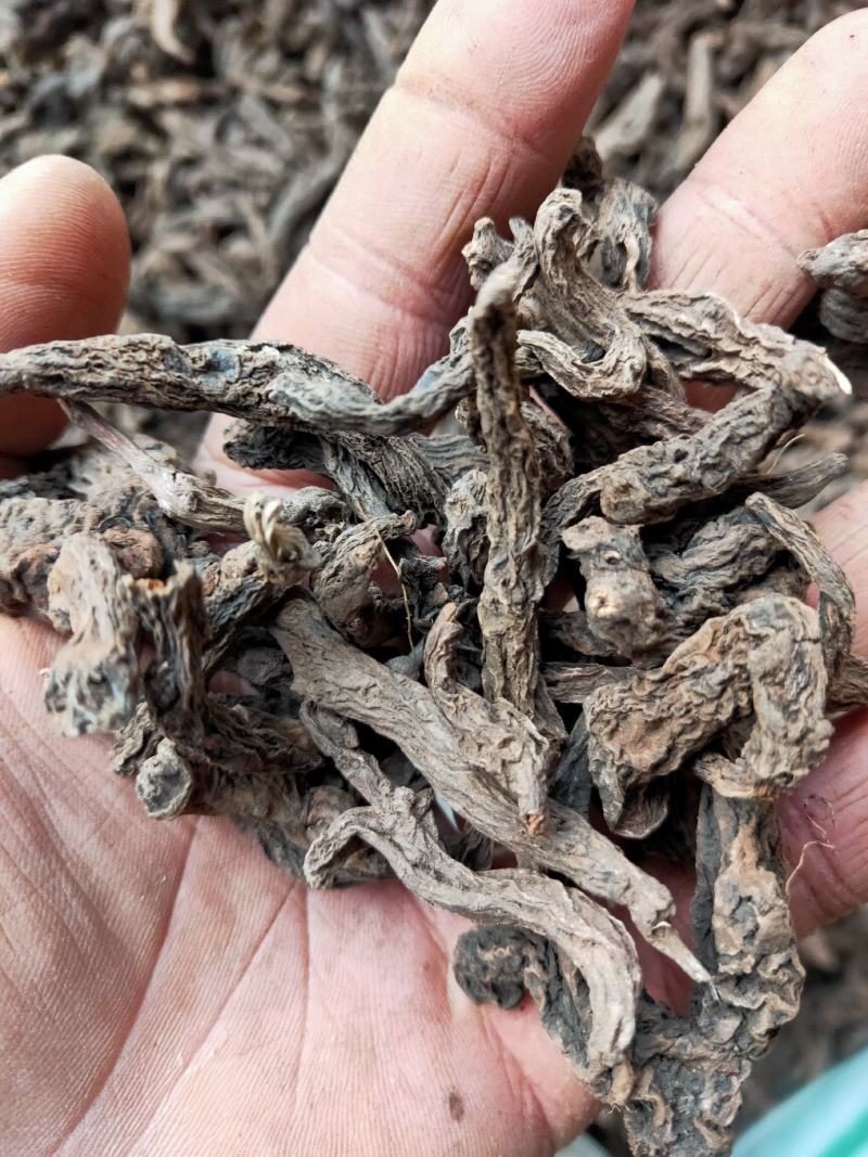红大戟，三样都有各种冷背货等各种外用药材
