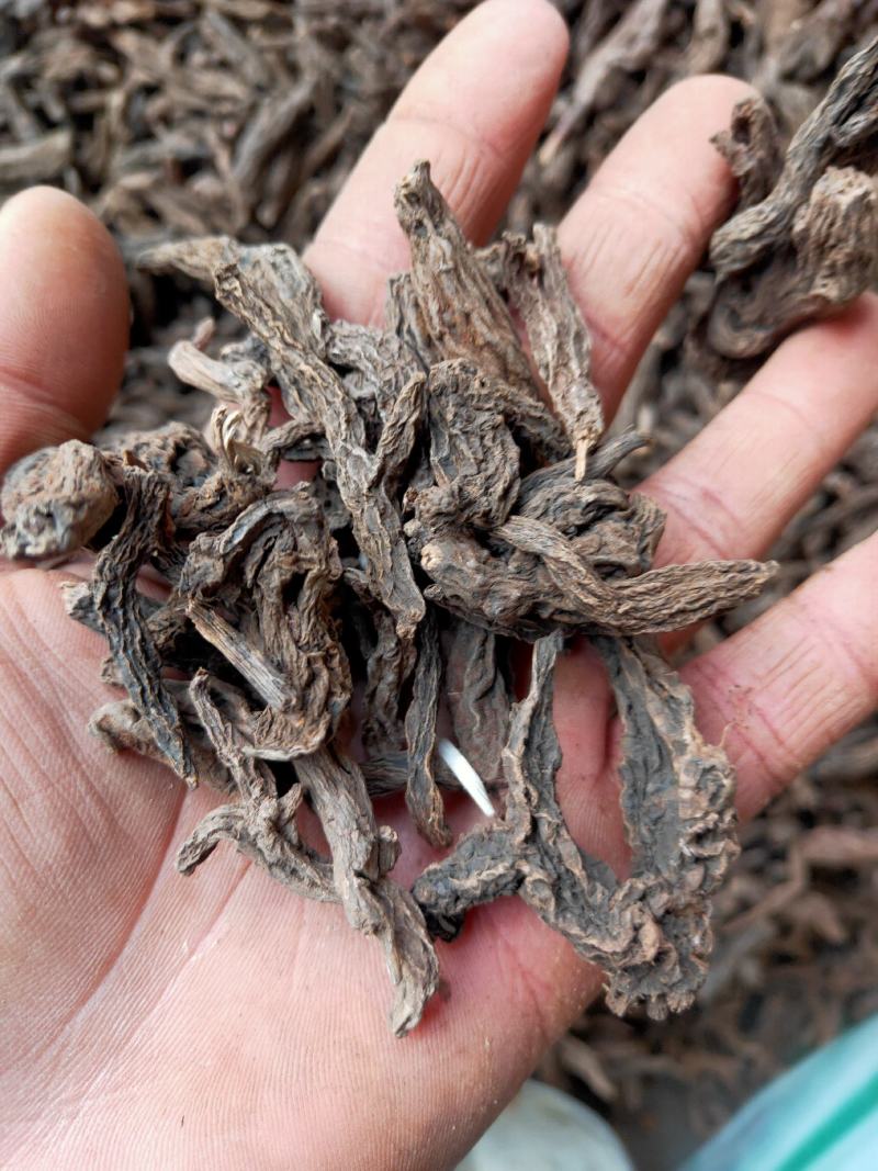 红大戟，三样都有各种冷背货等各种外用药材