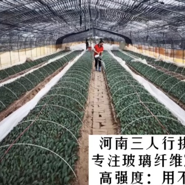 直径7毫米玻璃纤维棒小拱棚杆防晒棚内棚植物支架西瓜小拱棚