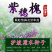 紫穗槐种子护坡灌木种子发芽率高包邮特价紫穗