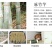 麻竹笋苗竹苗麻竹苗烟斗苗
