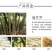 麻竹笋苗竹苗麻竹苗烟斗苗
