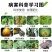 45%咪鲜胺杀菌剂炭疽病叶斑病黑斑病果蔬花卉植物农药