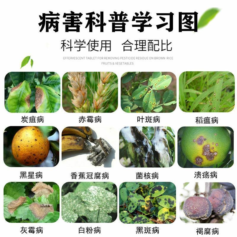 45%咪鲜胺杀菌剂炭疽病叶斑病黑斑病果蔬花卉植物农药