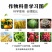 45%咪鲜胺杀菌剂炭疽病叶斑病黑斑病果蔬花卉植物农药