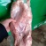 半片鸭麒鲁品牌值得信赖