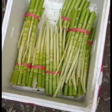 小竹笋带壳，是大家餐桌上的选择。。。。。。。