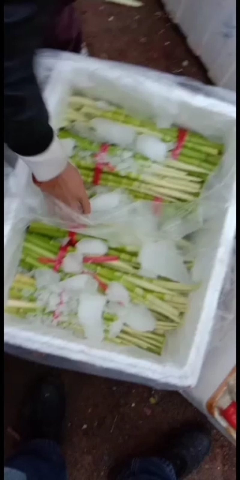 小竹笋带壳，是大家餐桌上的选择。。。。。。。