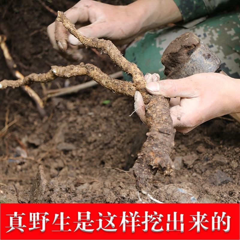 正宗岷县野党参，产地直供甘肃十五年以上野党参。，